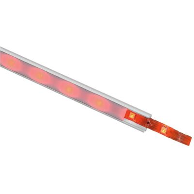 EuroLite LED Streifen, LED IP Strip 150 5m RGB 12V (RGB, 500 cm, Outdoor) EuroLite LED Streifen, LED IP Strip 150 5m RGB 12V (RGB, 500 cm, Outdoor)