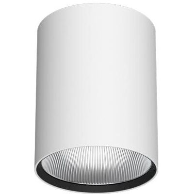 LTS, Wandleuchte + Deckenleuchte, Anbau-Downlight (1555 lm) LTS, Wandleuchte + Deckenleuchte, Anbau-Downlight (1555 lm)
