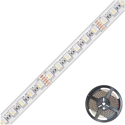 EVN-Lichttechnik, LED Streifen, LED-Strip (RGBW, 500 cm, Indoor, Outdoor) EVN-Lichttechnik, LED Streifen, LED-Strip (RGBW, 500 cm, Indoor, Outdoor)