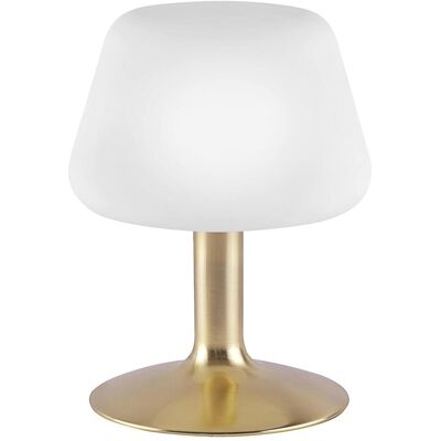 Paul Neuhaus Tilly - Messing Touch Dimmer Tischlampe - Tischlampe Paul Neuhaus Tilly - Messing Touch Dimmer Tischlampe - Tischlampe