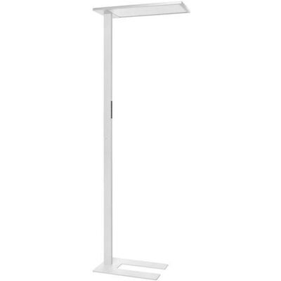 Brumberg, Stehlampe, LED-Stehleuchte Brumberg, Stehlampe, LED-Stehleuchte