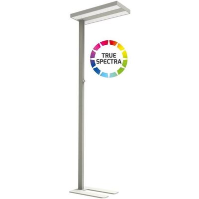 Dotlux, Stehlampe, LED-Stehleuchte (5500 lm) Dotlux, Stehlampe, LED-Stehleuchte (5500 lm)