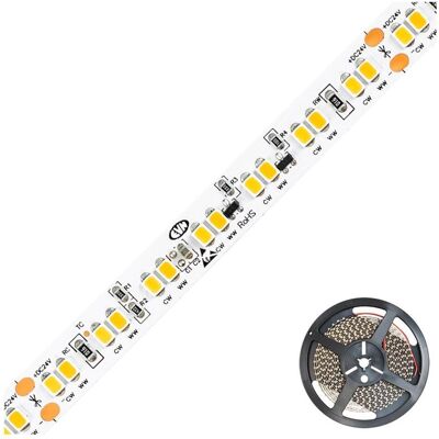 EVN - SB202416828D2W - 5m - Weiß 1800-3000K - LED-Stripe EVN - SB202416828D2W - 5m - Weiß 1800-3000K - LED-Stripe