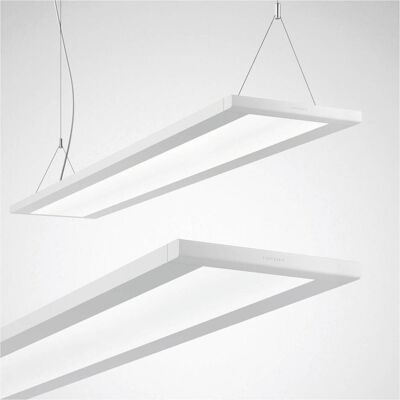 Trilux LuceoS D/H2 - LED Pendel-Leuchte 3000K DALI - Produkttyp Trilux LuceoS D/H2 - LED Pendel-Leuchte 3000K DALI - Produkttyp