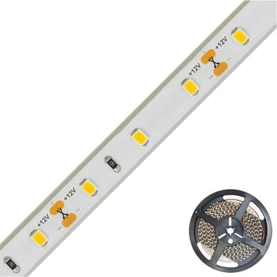 EVN, LED Streifen, LED-Lichtband (Weiss, 500 cm, Indoor) EVN, LED Streifen, LED-Lichtband (Weiss, 500 cm, Indoor)