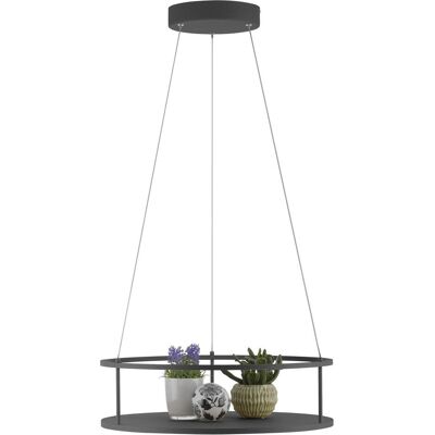 Paul Neuhaus, Pendelleuchte, LED Pendelleuchte CONTURA dimmbar Lichttemperaturwechsel höhenverstellbar (1800 lm) Paul Neuhaus, Pendelleuchte, LED Pendelleuchte CONTURA dimmbar Lichttemperaturwechsel höhenverstellbar (1800 lm)