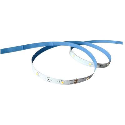 Avide, LED Streifen, LED STRIP 2.5W/M 3M WARM WHITE IP20 12V (Warmweiss, 300 cm, Indoor) Avide, LED Streifen, LED STRIP 2.5W/M 3M WARM WHITE IP20 12V (Warmweiss, 300 cm, Indoor)