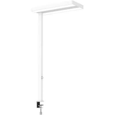 Maul, Tischlampe, MAULJAVAL - LED-Leuchten Maul, Tischlampe, MAULJAVAL - LED-Leuchten