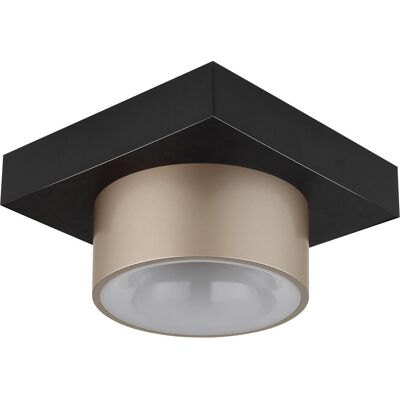 Globo, Deckenleuchte, Raymond LED Deckenleuchte 12W Warmweiss Schwarz Matt, Metall Ø15cm 56964-1 (1200 lm) Globo, Deckenleuchte, Raymond LED Deckenleuchte 12W Warmweiss Schwarz Matt, Metall Ø15cm 56964-1 (1200 lm)