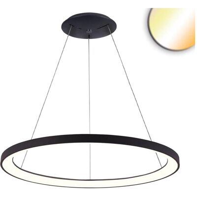 Isoled, Pendelleuchte, LED Hängeleuchte Orbit 780, schwarz, 60W, rund, ColorSwitch 3000/3500/4000K, dimmbar Isoled, Pendelleuchte, LED Hängeleuchte Orbit 780, schwarz, 60W, rund, ColorSwitch 3000/3500/4000K, dimmbar