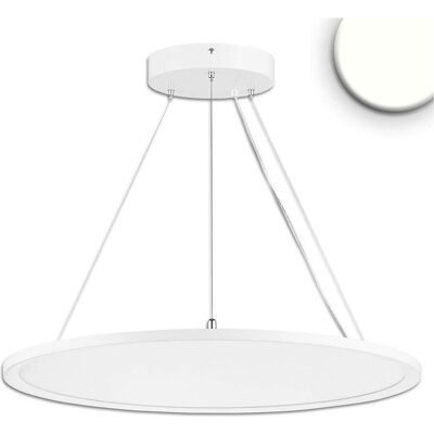 Isoled, Pendelleuchte, LED Office Hängeleuchte Up+Down, 20+20W, DN610, weiss, UGR<19, 4000K, DALI dimmbar Isoled, Pendelleuchte, LED Office Hängeleuchte Up+Down, 20+20W, DN610, weiss, UGR<19, 4000K, DALI dimmbar