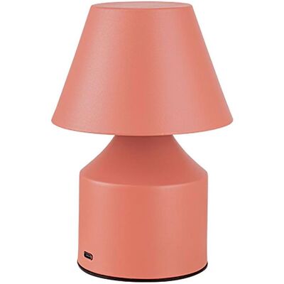 F-Bright, Tischlampe, Tischlampe Fbright Rosa 2 W (200 lm) F-Bright, Tischlampe, Tischlampe Fbright Rosa 2 W (200 lm)