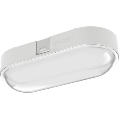 Pracht - NINA ECO - Oval-LED - 950 lm - Innenleuchte Pracht - NINA ECO - Oval-LED - 950 lm - Innenleuchte