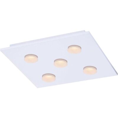 Fischer & Honsel, Deckenleuchte, Honsel LED Deckenleuchte 5-fach 5x4W warmweiss dimmbar weiss 20684 Fischer & Honsel, Deckenleuchte, Honsel LED Deckenleuchte 5-fach 5x4W warmweiss dimmbar weiss 20684