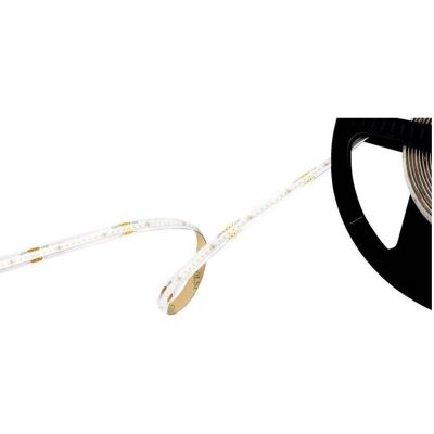 Barthelme, LED Streifen, 51542740 LED-Streifen mit Lötanschluss 24 V/DC 5000 mm Kaltweiss 5 m (Kaltweiss, 500 cm, Indoor) Barthelme, LED Streifen, 51542740 LED-Streifen mit Lötanschluss 24 V/DC 5000 mm Kaltweiss 5 m (Kaltweiss, 500 cm, Indoor)