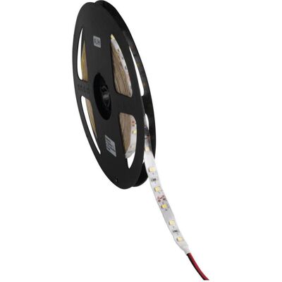 Kanlux, LED Streifen, 24515 LEDS-B 4.8W/M IP65-CW 12V LED Streifen (Kaltweiss, 500 cm, Indoor) Kanlux, LED Streifen, 24515 LEDS-B 4.8W/M IP65-CW 12V LED Streifen (Kaltweiss, 500 cm, Indoor)