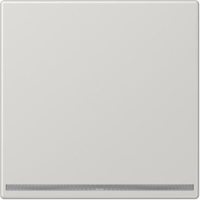 JUNG, Nachtlicht, LED-Orientierungslicht LS 1539-OO LG LNW JUNG, Nachtlicht, LED-Orientierungslicht LS 1539-OO LG LNW