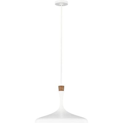 Elstead Lighting Darwin 1 Light Pendant - Mattweiß - Urban Rustikal Elstead Lighting Darwin 1 Light Pendant - Mattweiß - Urban Rustikal