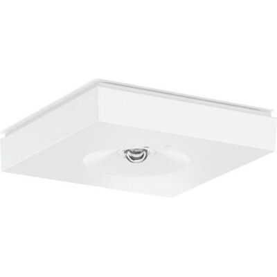 RZB, Deckenleuchte, LED-Notleuchte (310 lm) RZB, Deckenleuchte, LED-Notleuchte (310 lm)