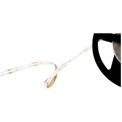 Barthelme, LED Streifen, 51542730 LED-Streifen mit Lötanschluss 24 V/DC 5000 mm Weiss 5 m (Weiss, 500 cm, Indoor) Barthelme, LED Streifen, 51542730 LED-Streifen mit Lötanschluss 24 V/DC 5000 mm Weiss 5 m (Weiss, 500 cm, Indoor)
