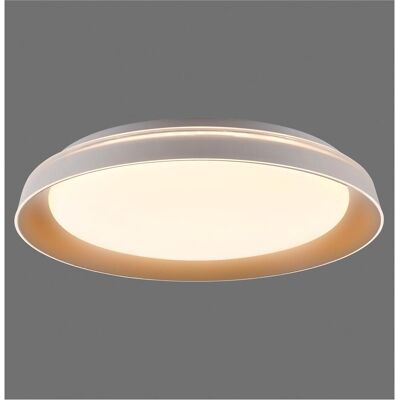 Philips 43cm Metall Kunststoff Decken LED Leuchte - Ceiling LED Light Philips 43cm Metall Kunststoff Decken LED Leuchte - Ceiling LED Light