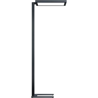 Zumtobel, Stehlampe, 42188108 Zumtobel, Stehlampe, 42188108