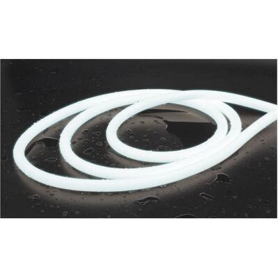Synergy 21, LED Streifen, LED Flex Strip NEON 360° kaltweiss DC24V (Kaltweiss, 500 cm, Indoor, Outdoor) Synergy 21, LED Streifen, LED Flex Strip NEON 360° kaltweiss DC24V (Kaltweiss, 500 cm, Indoor, Outdoor)