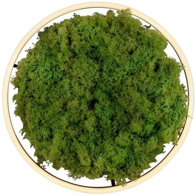Leuchten Direkt, Deckenleuchte, Green Ritus (2650 lm) Leuchten Direkt, Deckenleuchte, Green Ritus (2650 lm)
