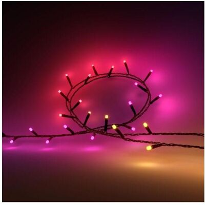 Philips Hue, Lichterkette, Festavia (EU Stecker) (40 m) Philips Hue, Lichterkette, Festavia (EU Stecker) (40 m)