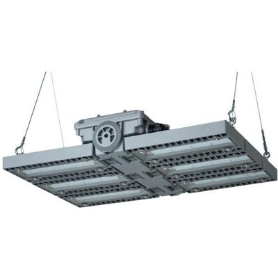Schuch, Wandleuchte + Deckenleuchte, e8825/6 L300B Schuch, Wandleuchte + Deckenleuchte, e8825/6 L300B
