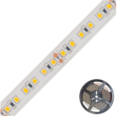 EVN, LED Streifen, LSTRSB6824603540 (Weiss, 500 cm, Indoor) EVN, LED Streifen, LSTRSB6824603540 (Weiss, 500 cm, Indoor)