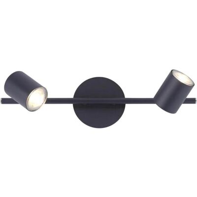 Paul Neuhaus 11942-13 - Deckenleuchte - Anthrazit - 2-flammig LED-Lampe Paul Neuhaus 11942-13 - Deckenleuchte - Anthrazit - 2-flammig LED-Lampe