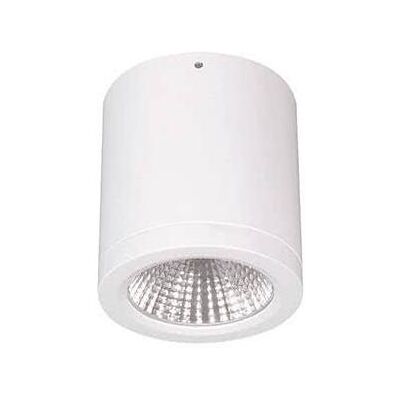 LTS BTNM 101.30.55 ws - LED-Anbau-Downlight LTS BTNM 101.30.55 ws - LED-Anbau-Downlight