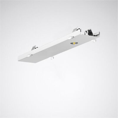 Trilux, Pendelleuchte, LED-Geräteträger (545 lm) Trilux, Pendelleuchte, LED-Geräteträger (545 lm)