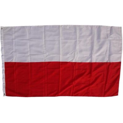 trends4cents, Fahne, XXL Flagge Polen 250 x 150 cm Fahne mit 3 Ösen 100g/m² Stoffgewicht Hissflagge Mast (250 x 250 cm) trends4cents, Fahne, XXL Flagge Polen 250 x 150 cm Fahne mit 3 Ösen 100g/m² Stoffgewicht Hissflagge Mast (250 x 250 cm)