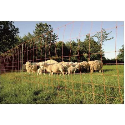 Gallagher, Gartenzaun, Schapennet Versterkt (90 Cm / Dubbele Pen) - 50 Meter Gallagher, Gartenzaun, Schapennet Versterkt (90 Cm / Dubbele Pen) - 50 Meter