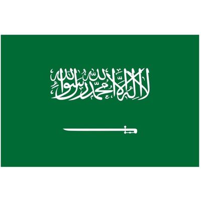 trends4cents, Fahne, XXL Flagge Saudi Arabien 250 x 150 cm mit 2 Ösen 100g/m² Stoffgewicht Hissfahne Hissflagge (250 x 150 cm) trends4cents, Fahne, XXL Flagge Saudi Arabien 250 x 150 cm mit 2 Ösen 100g/m² Stoffgewicht Hissfahne Hissflagge (250 x 150 cm)