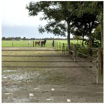 Gallagher, Gartenzaun, Meerdraadse Doorgangset (4 x 40 MM Lint) - Max. 6 Meter Gallagher, Gartenzaun, Meerdraadse Doorgangset (4 x 40 MM Lint) - Max. 6 Meter
