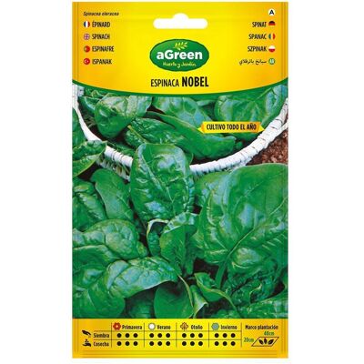 Agreen, Samen, About spinach seeds nobel 000383bolsh (Gemüsesamen) Agreen, Samen, About spinach seeds nobel 000383bolsh (Gemüsesamen)