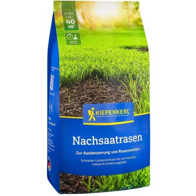 Kiepenkerl, Samen, Nachsaatrasen, 1 kg (Rasensamen) Kiepenkerl, Samen, Nachsaatrasen, 1 kg (Rasensamen)