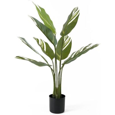 present time, Kunstpflanzen, Kunstplant Calathea - Groen - 63x63x90cm - Modern (90 cm) present time, Kunstpflanzen, Kunstplant Calathea - Groen - 63x63x90cm - Modern (90 cm)
