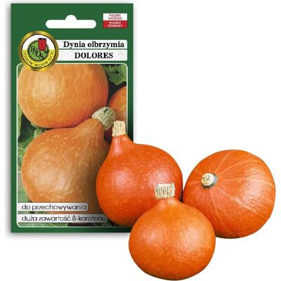 Apte, Samen, PNOS Nasiona warzyw Dynia Olbrzymia Dolores Opakowanie 5g (Gemüsesamen) Apte, Samen, PNOS Nasiona warzyw Dynia Olbrzymia Dolores Opakowanie 5g (Gemüsesamen)