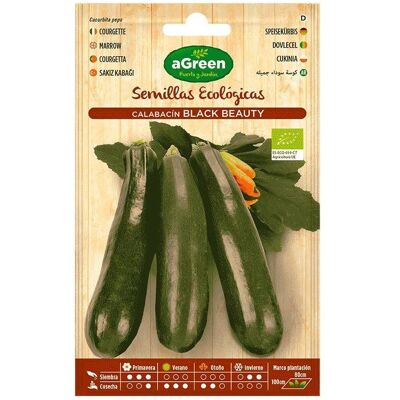 aGreen Ökologische Zucchini - Black Beauty - Gemüse aGreen Ökologische Zucchini - Black Beauty - Gemüse