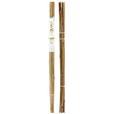 ProGarden, Pflanzen Zubehör, Podpora Do Roślin Bambusowa Tyczka 10szt (78 cm) ProGarden, Pflanzen Zubehör, Podpora Do Roślin Bambusowa Tyczka 10szt (78 cm)