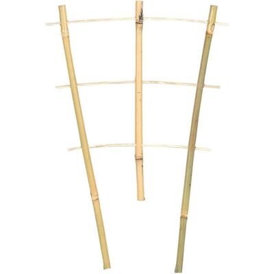 Siena Garden, Pflanzen Zubehör, Pflanzenhalter (30 cm, 17 cm) Siena Garden, Pflanzen Zubehör, Pflanzenhalter (30 cm, 17 cm)