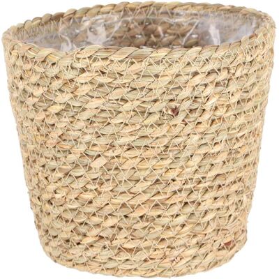 Esschert Design, Blumentopf, Blumentopf Borstgras, 15cm (15 x 11.40 cm) Esschert Design, Blumentopf, Blumentopf Borstgras, 15cm (15 x 11.40 cm)
