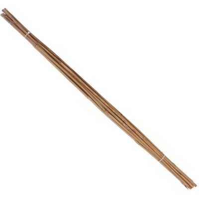Magni, Pflanzen Zubehör, Tonkin-Pflanzstab Ø 6-8mm 75cm 10er Bund Floraworld (75 cm) Magni, Pflanzen Zubehör, Tonkin-Pflanzstab Ø 6-8mm 75cm 10er Bund Floraworld (75 cm)
