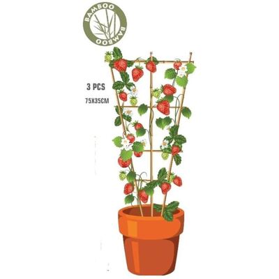 ProGarden, Pflanzen Zubehör, Podpora Do Roślin Bambusowa 3szt (22 cm) ProGarden, Pflanzen Zubehör, Podpora Do Roślin Bambusowa 3szt (22 cm)
