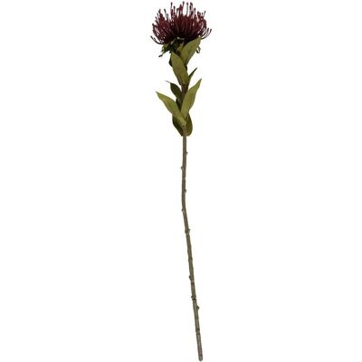 present time, Kunstpflanzen, Protea Flower Small (59.70 cm) present time, Kunstpflanzen, Protea Flower Small (59.70 cm)