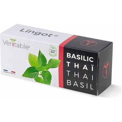 Véritable, Samen, 3760262511122 (Kräutersamen) Véritable, Samen, 3760262511122 (Kräutersamen)